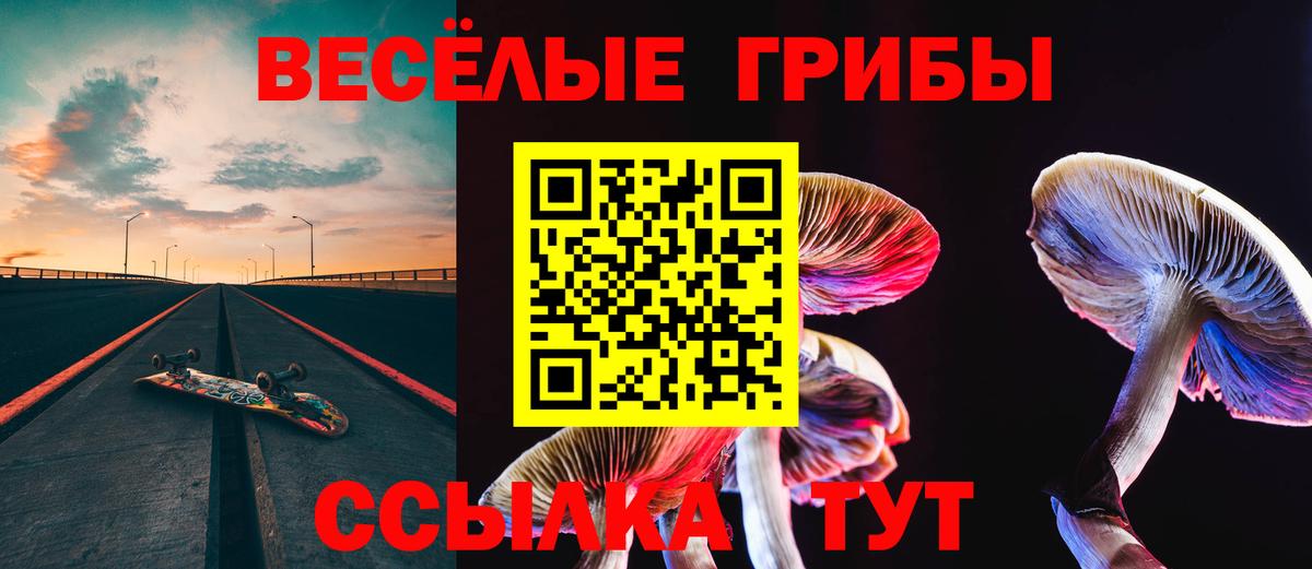 даркнет сайт  Псилоцибиновые грибы Magic Shrooms  Псилоцибиновые грибы Psilocybe  Вход с VPN  Соль-Илецк 